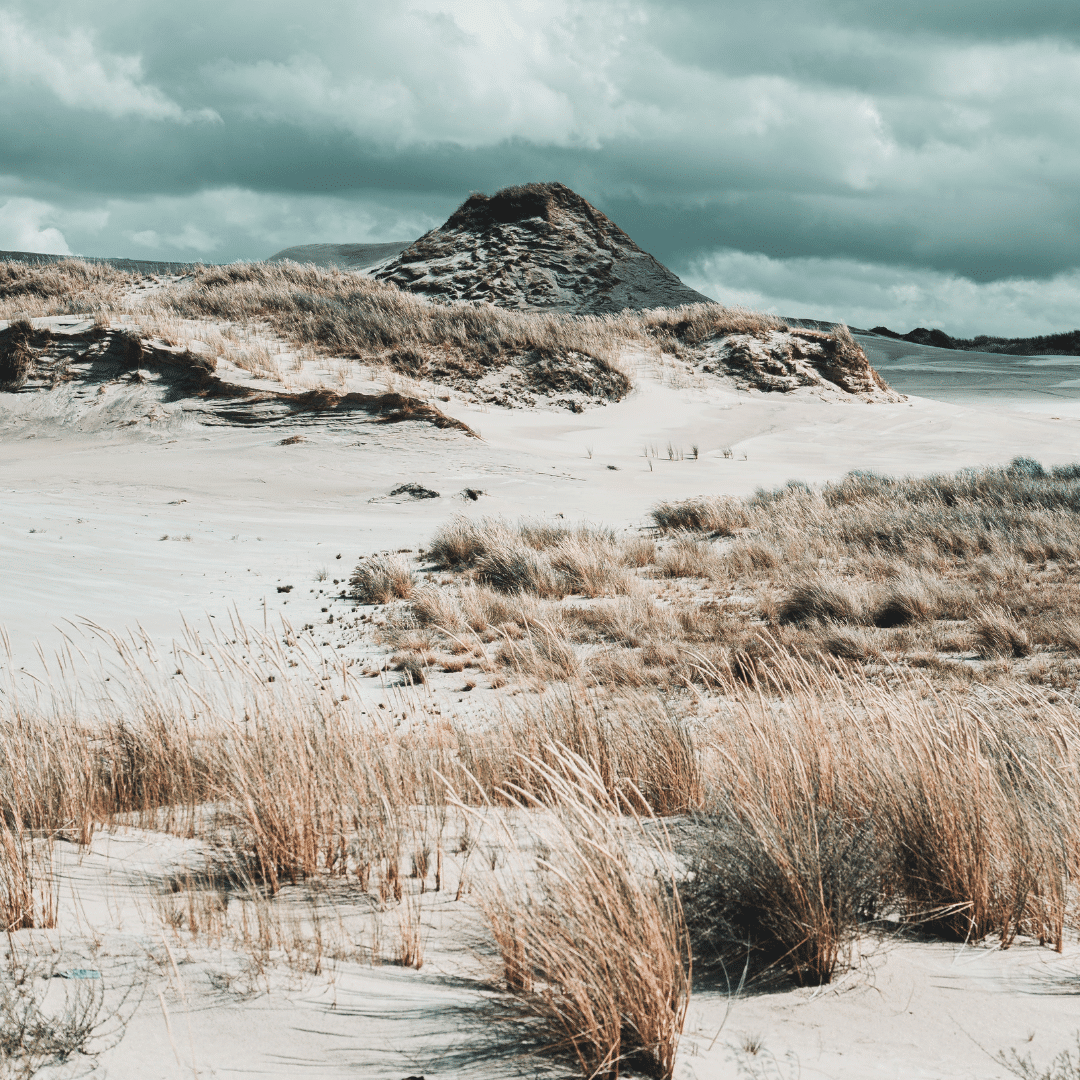 Jan Kopriva @Unsplash