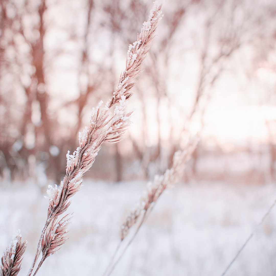 Wie ich den Januar-Blues durchbrochen habe